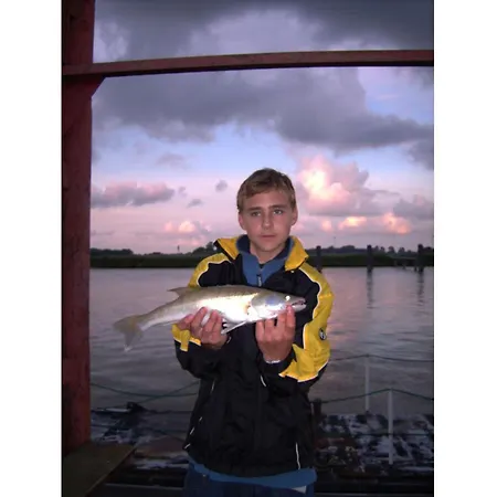 Atelier 4 Comfortable